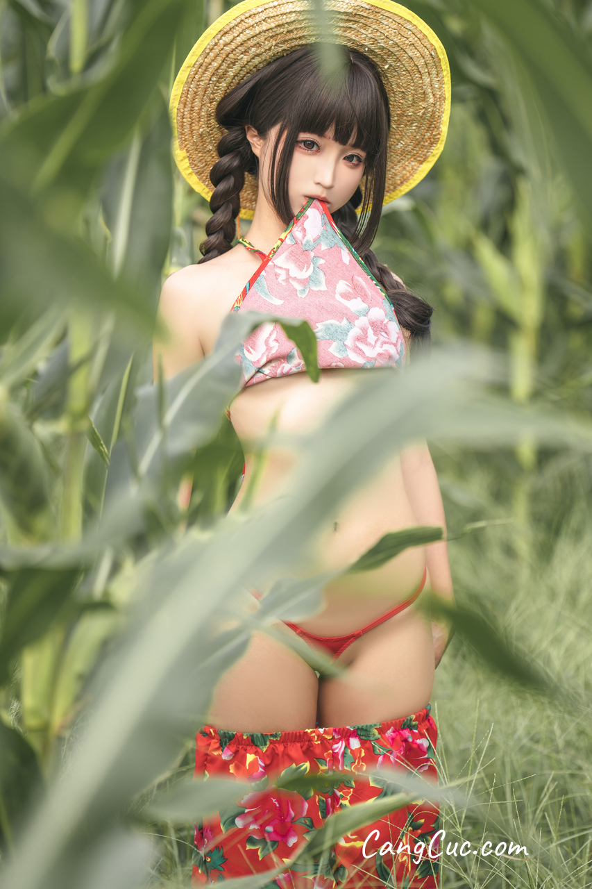 Coser@蠢沫沫 (chunmomo): The Story of Cornfield ảnh 14